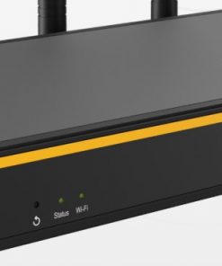 Router cân tải Peplink B One