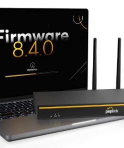 Router cân tải Peplink B One