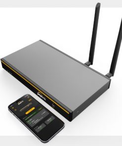 Router cân tải Peplink B One