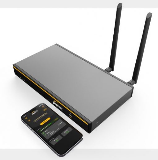 Router cân tải Peplink B One