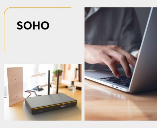 Router cân tải Peplink B One