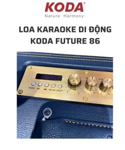 Loa Karaoke Koda Future 86 800W